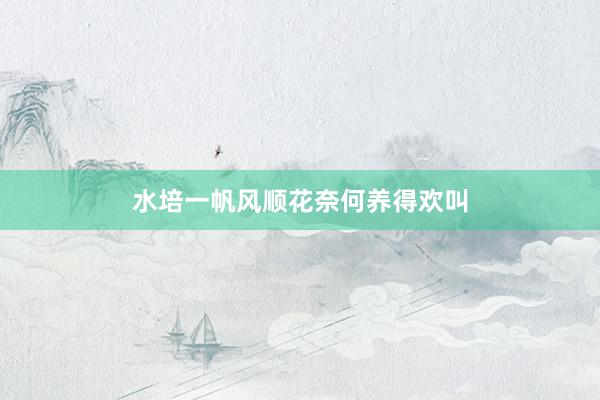 水培一帆风顺花奈何养得欢叫